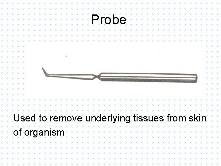 Probe Used to remove underlying tissues from skin of organism 