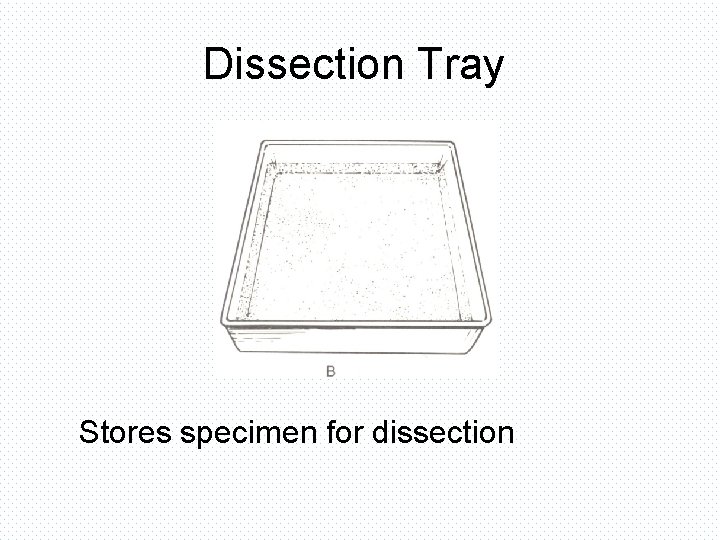 Dissection Tray Stores specimen for dissection 