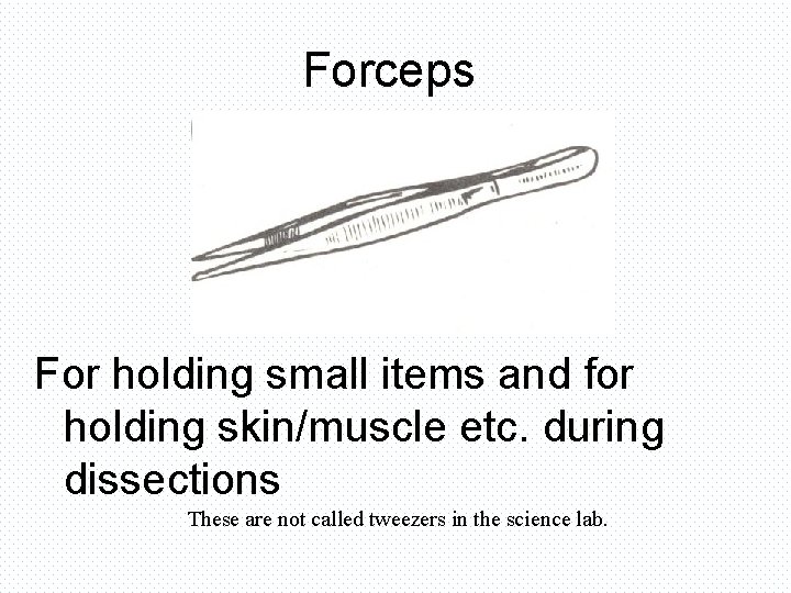 Forceps For holding small items and for holding skin/muscle etc. during dissections These are