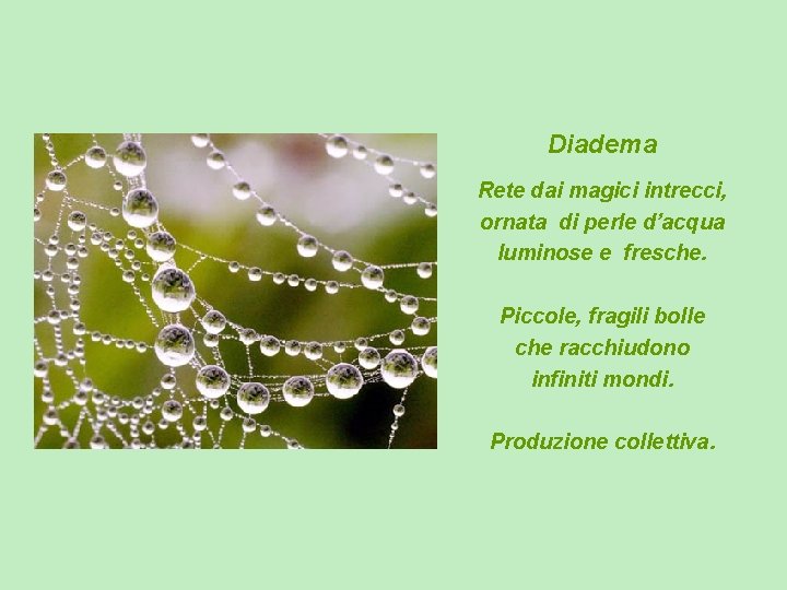 Diadema Rete dai magici intrecci, ornata di perle d’acqua luminose e fresche. Piccole, fragili