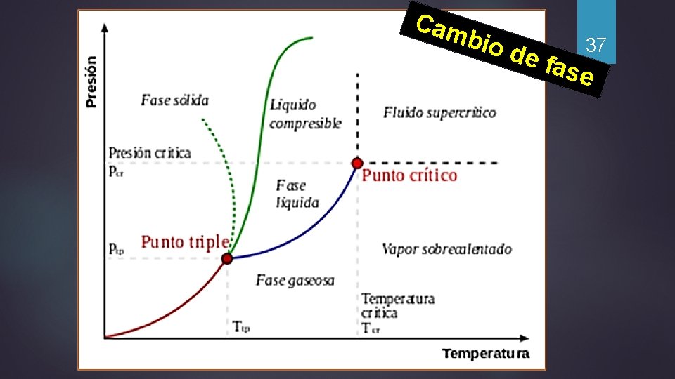 Cam bio d e fa 37 se 