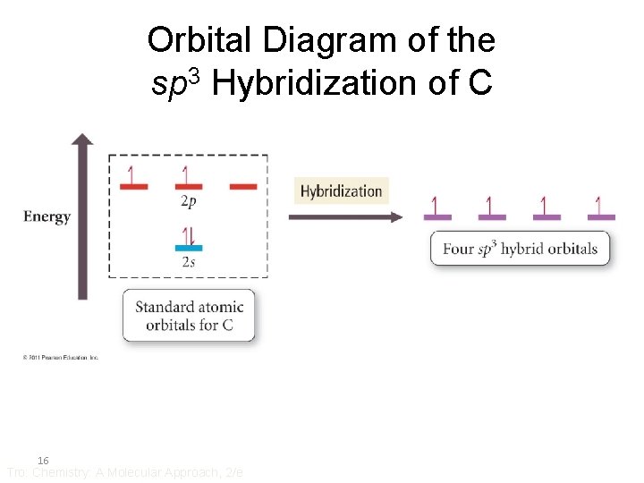 Orbital Diagram of the sp 3 Hybridization of C 16 Tro: Chemistry: A Molecular