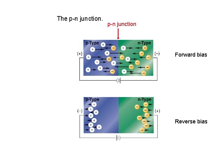 The p-n junction Forward bias Reverse bias 