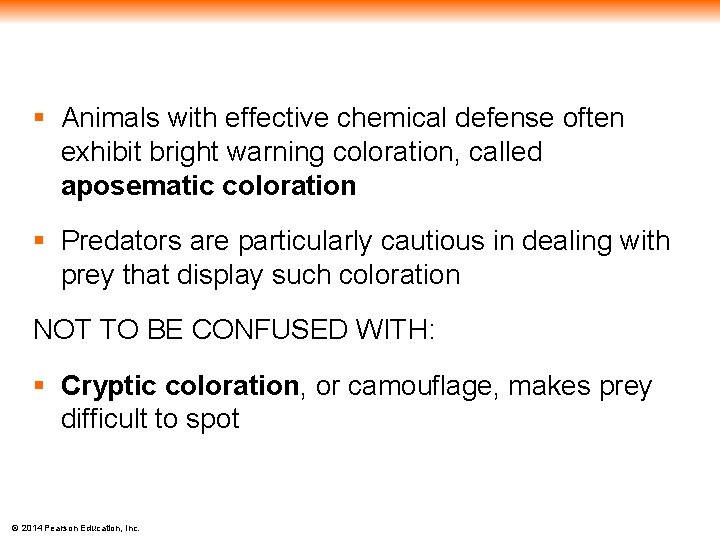 § Animals with effective chemical defense often exhibit bright warning coloration, called aposematic coloration