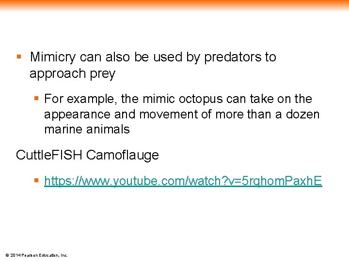 § Mimicry can also be used by predators to approach prey § For example,