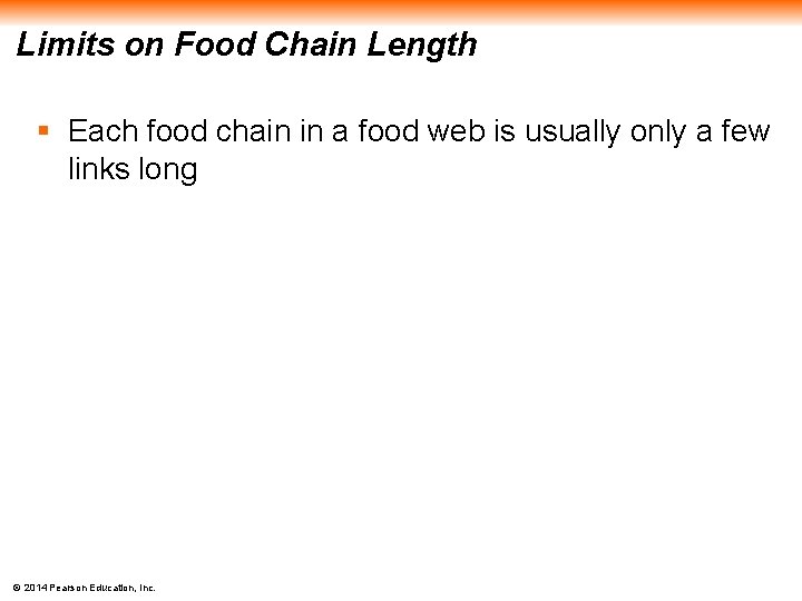 Limits on Food Chain Length § Each food chain in a food web is