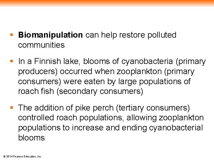 § Biomanipulation can help restore polluted communities § In a Finnish lake, blooms of