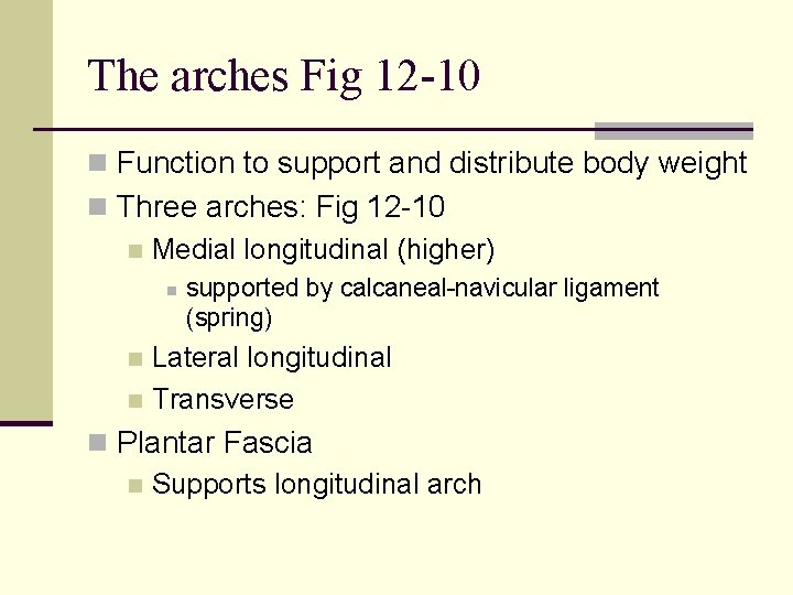 The arches Fig 12 -10 n Function to support and distribute body weight n