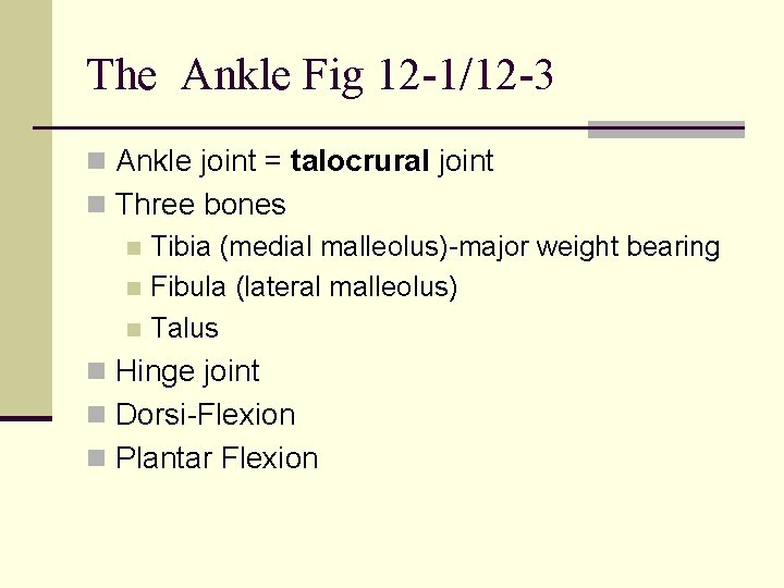 The Ankle Fig 12 -1/12 -3 n Ankle joint = talocrural joint n Three