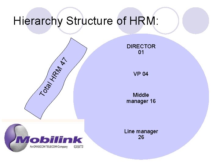 Hierarchy Structure of HRM: VP 04 To tal HR M 47 DIRECTOR 01 Middle