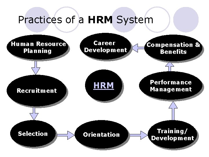 Practices of a HRM System Human Resource Planning Recruitment Selection Career Development HRM Orientation