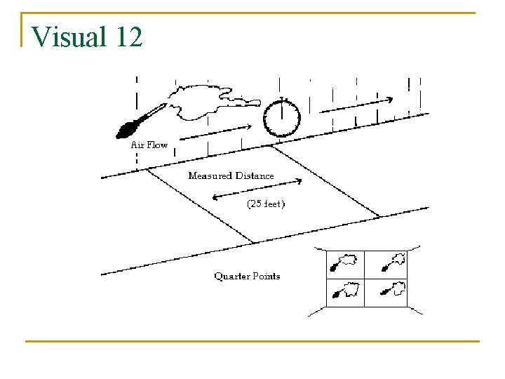 Visual 12 