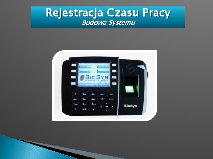 Rejestracja Czasu Pracy Budowa Systemu 