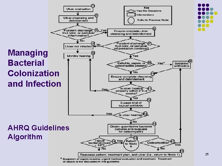 Managing Bacterial Colonization and Infection AHRQ Guidelines Algorithm 25 