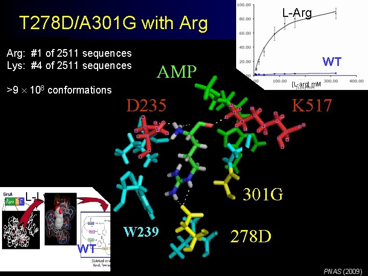 L-Arg T 278 D/A 301 G with Arg: #1 of 2511 sequences Lys: #4