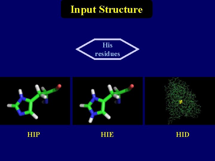 Input Structure His residues HIP HIE HID 