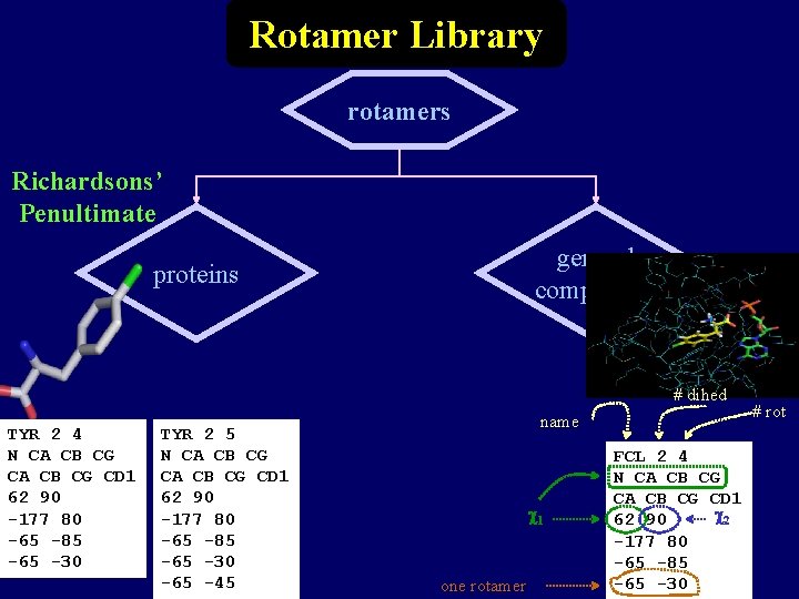 Rotamer Library rotamers Richardsons’ Penultimate general compounds proteins # dihed TYR 2 4 N