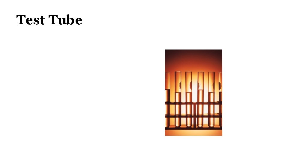 Test Tube 