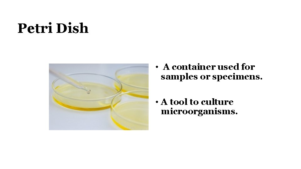 Petri Dish • A container used for samples or specimens. • A tool to