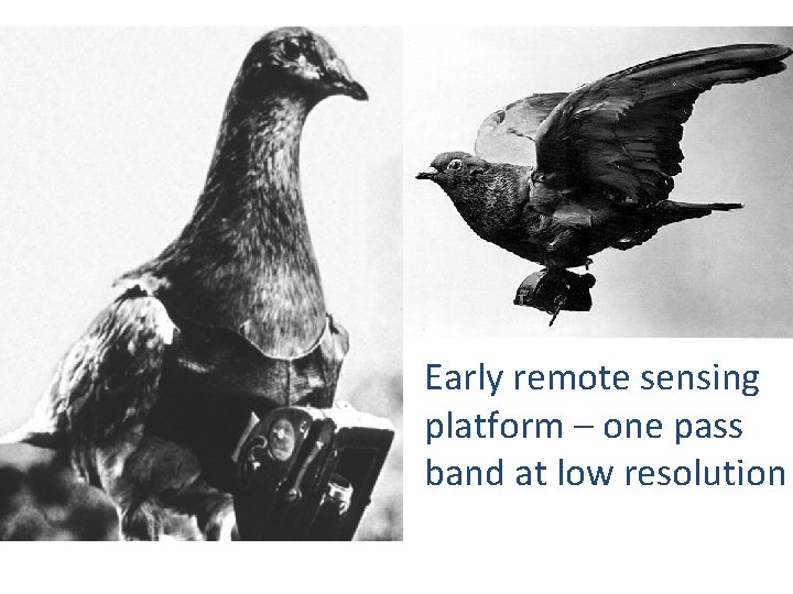 Early remote sensing platform – one pass band at low resolution Early remote sensing platform – one pass band at low resolution