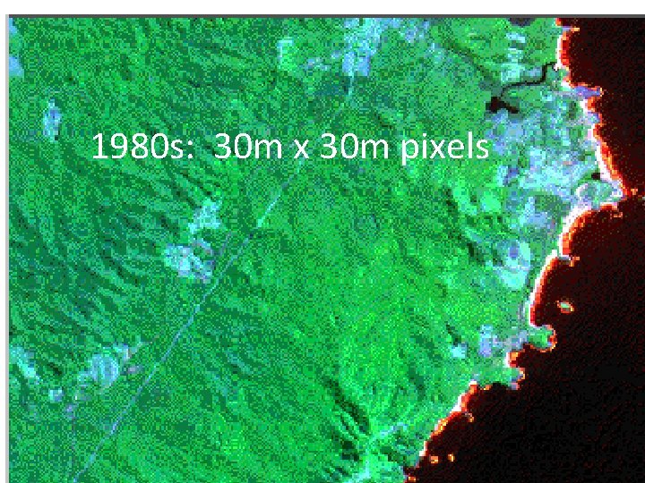 1980 s: 30 m x 30 m pixels 1980 s: 30 m x 30 m pixels