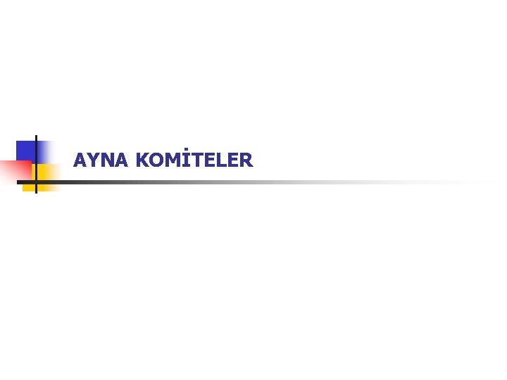  AYNA KOMİTELER 