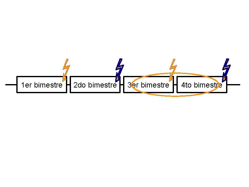 1 er bimestre 2 do bimestre 3 er bimestre 4 to bimestre 