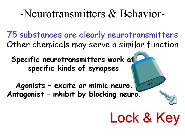 -Neurotransmitters & Behavior 75 substances are clearly neurotransmitters Other chemicals may serve a similar