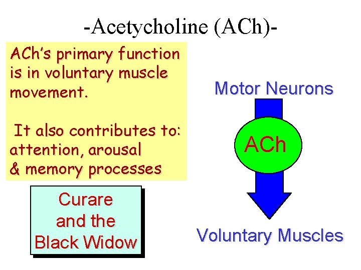 -Acetycholine (ACh)ACh’s primary function is in voluntary muscle movement. It also contributes to: attention,