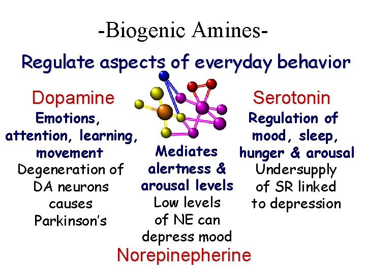 -Biogenic Amines. Regulate aspects of everyday behavior Dopamine Serotonin Emotions, Regulation of attention, learning,