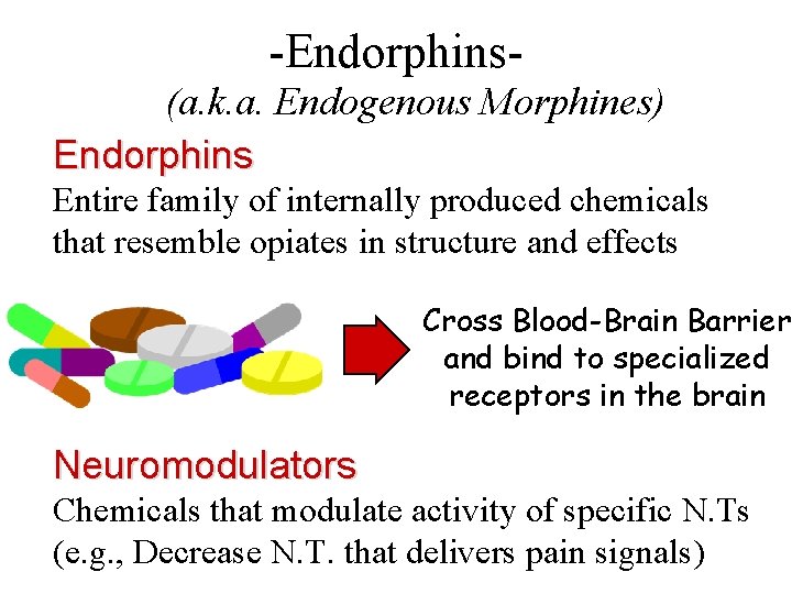 -Endorphins(a. k. a. Endogenous Morphines) Endorphins Entire family of internally produced chemicals that resemble