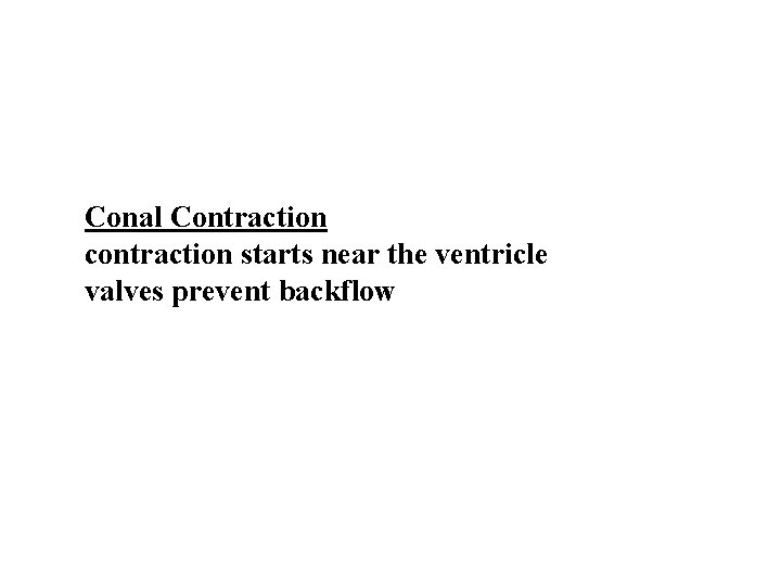 Conal Contraction contraction starts near the ventricle valves prevent backflow Conal Contraction contraction starts near the ventricle valves prevent backflow