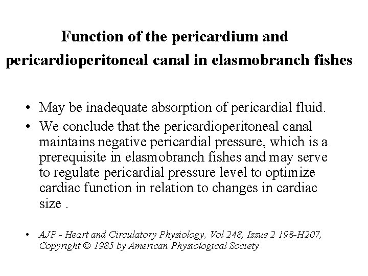 Function of the pericardium and pericardioperitoneal canal in elasmobranch fishes • May be inadequate Function of the pericardium and pericardioperitoneal canal in elasmobranch fishes • May be inadequate