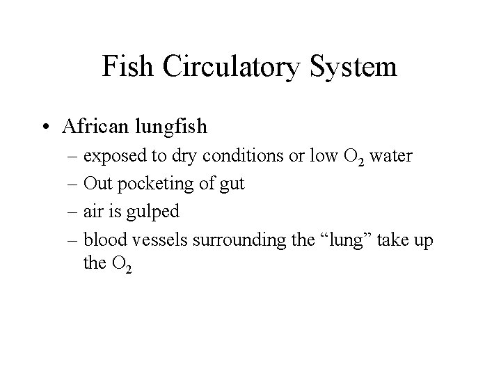 Fish Circulatory System • African lungfish – exposed to dry conditions or low O Fish Circulatory System • African lungfish – exposed to dry conditions or low O
