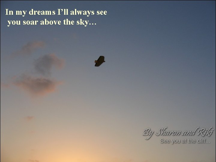 In my dreams I’ll always see you soar above the sky… 