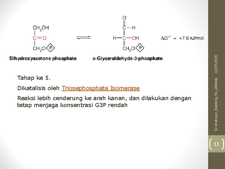 10/27/2020 Dikatalisis oleh Triosephosphate Isomerase Reaksi lebih cenderung ke arah kanan, dan dilakukan dengan