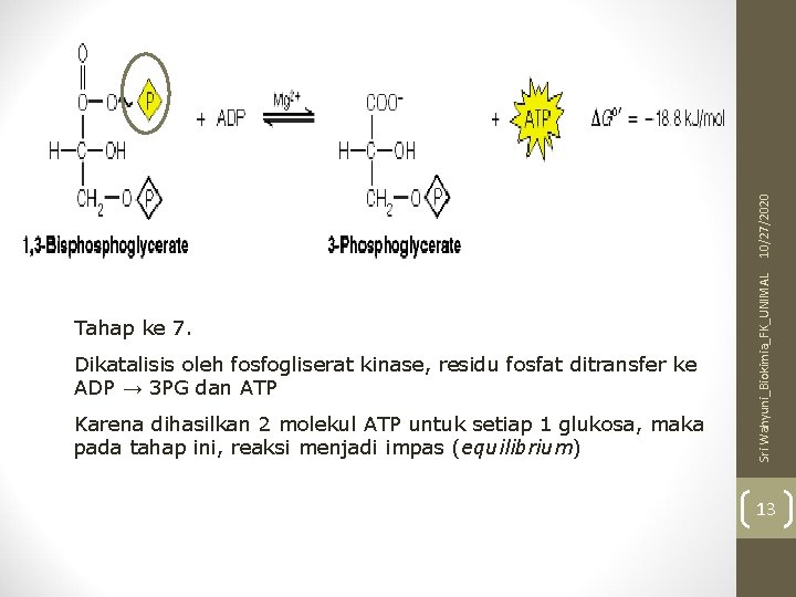 10/27/2020 Dikatalisis oleh fosfogliserat kinase, residu fosfat ditransfer ke ADP → 3 PG dan