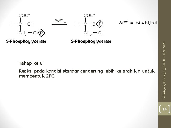 10/27/2020 Reaksi pada kondisi standar cenderung lebih ke arah kiri untuk membentuk 2 PG
