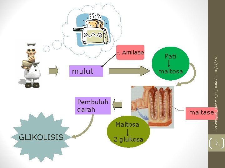 maltosa Pembuluh darah maltase Maltosa GLIKOLISIS 10/27/2020 mulut Pati Sri Wahyuni_Biokimia_FK_UNIMAL Amilase 2 glukosa