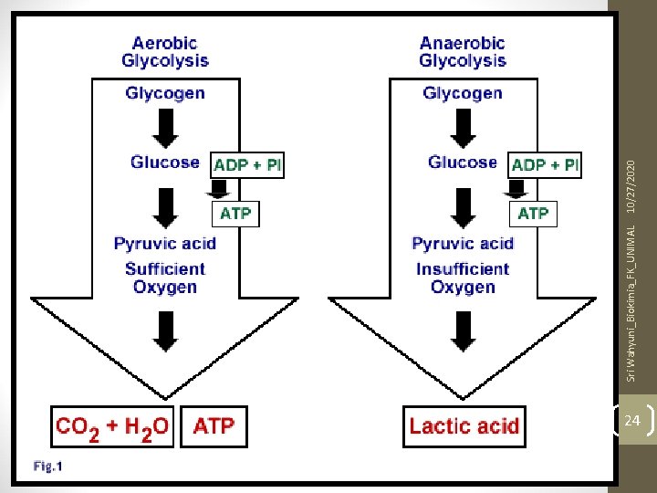 24 Sri Wahyuni_Biokimia_FK_UNIMAL 10/27/2020 