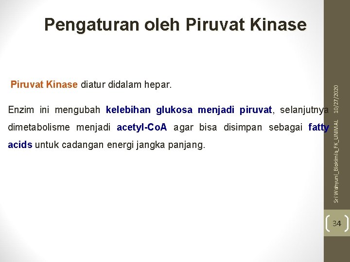 Enzim ini mengubah kelebihan glukosa menjadi piruvat, selanjutnya dimetabolisme menjadi acetyl-Co. A agar bisa