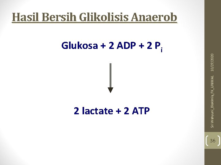 2 lactate + 2 ATP Sri Wahyuni_Biokimia_FK_UNIMAL Glukosa + 2 ADP + 2 Pi