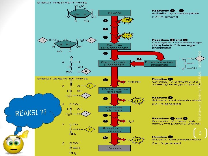 Sri Wahyuni_Biokimia_FK_UNIMAL REAKSI ? ? 5 10/27/2020 