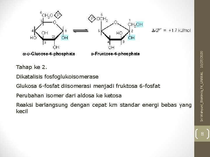 Dikatalisis fosfoglukoisomerase Glukosa 6 -fosfat diisomerasi menjadi fruktosa 6 -fosfat Perubahan isomer dari aldosa