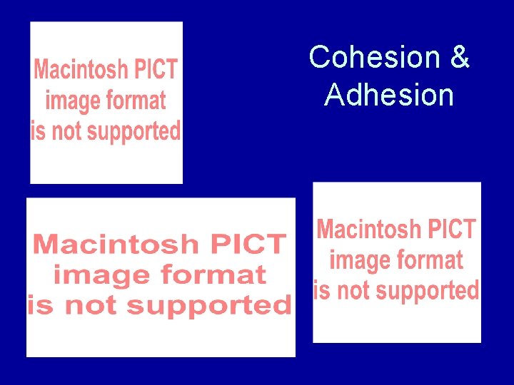 Cohesion & Adhesion 