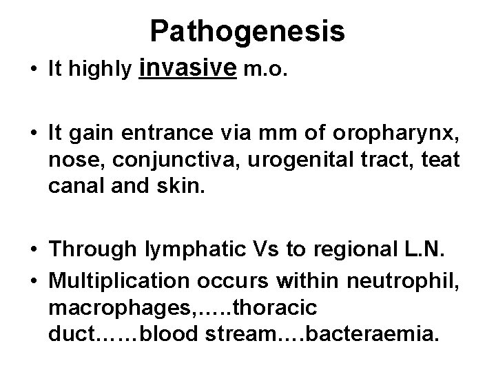 Pathogenesis • It highly invasive m. o. • It gain entrance via mm of