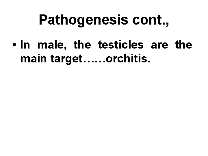 Pathogenesis cont. , • In male, the testicles are the main target……orchitis. 