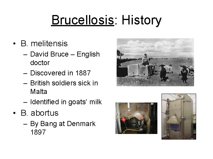 Brucellosis: History • B. melitensis – David Bruce – English doctor – Discovered in
