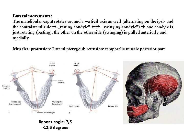 Lateral movements: The mandibular caput rotates around a vertical axis as well (alternating on