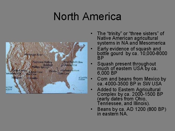 North America • The “trinity” or “three sisters” of Native American agricultural systems in